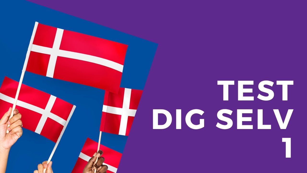 Indf&oslash;dsretspr&oslash;ven 2020 Test dig selv 1