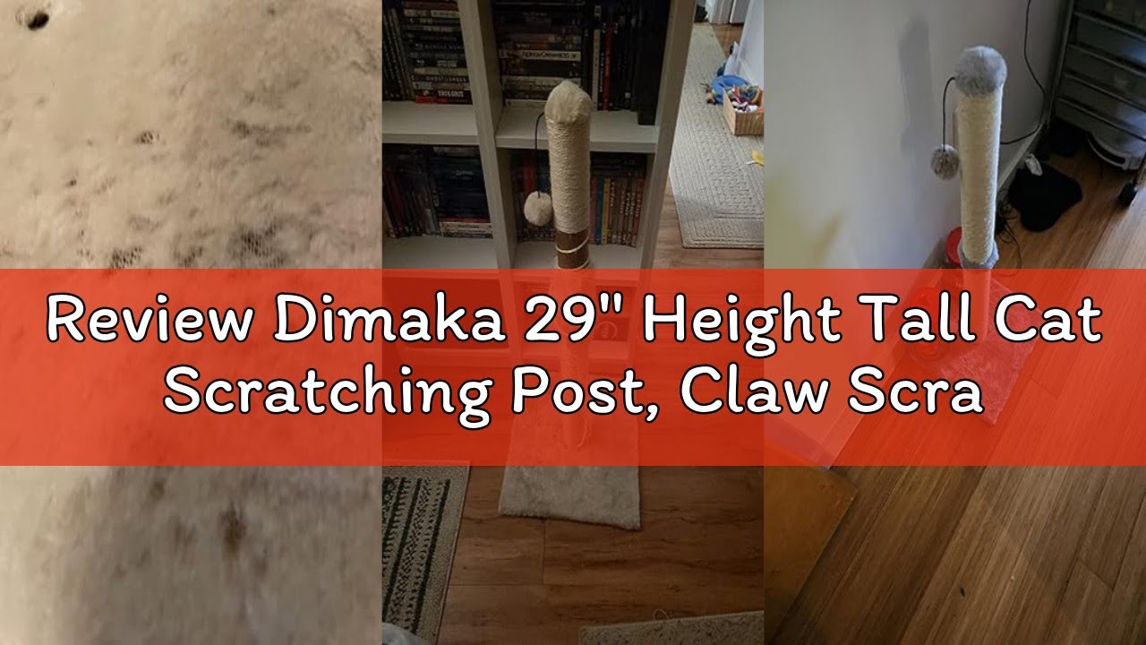 Review Dimaka 29
