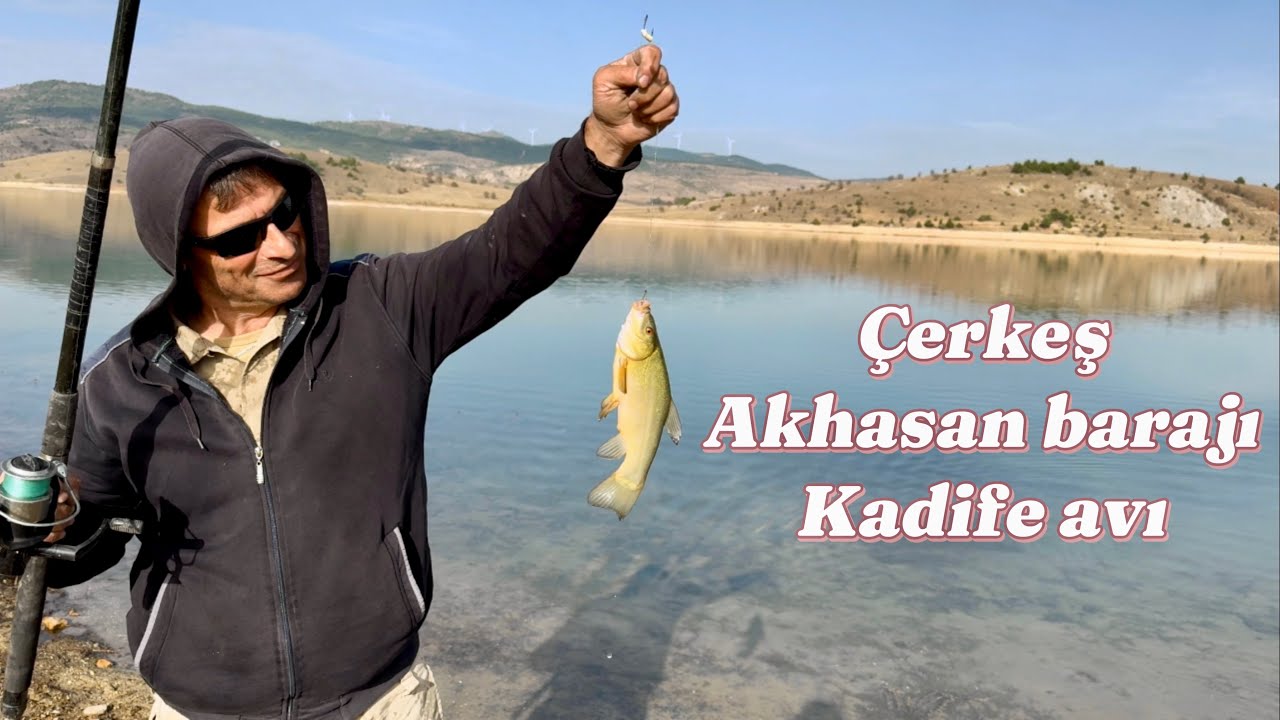Kadife avı | Çerkeş Akhasan Barajı