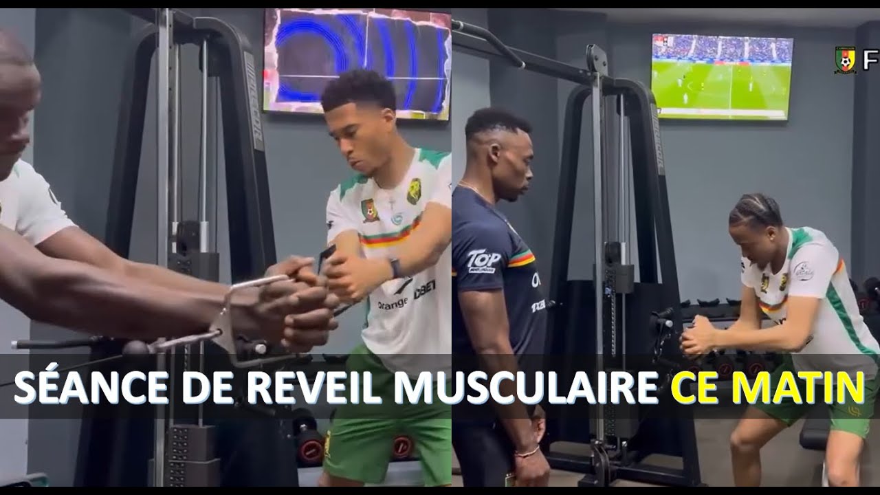 REVEIL MUSCULAIRE DES LIONS CE MATIN - 1ere SÉANCE DE REGROUPEMENT