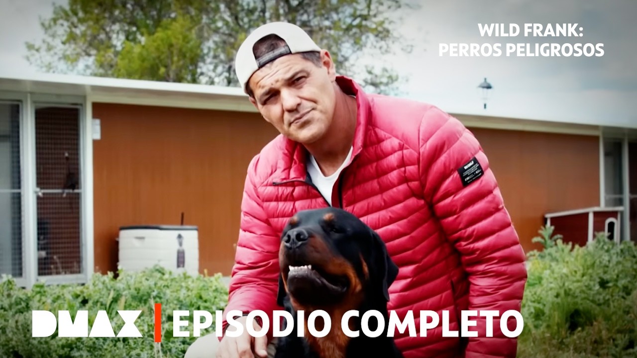 Perros potencialmente peligrosos: razas, normativa y multas| Parte 1 | Wild Frank: Perros Peligrosos