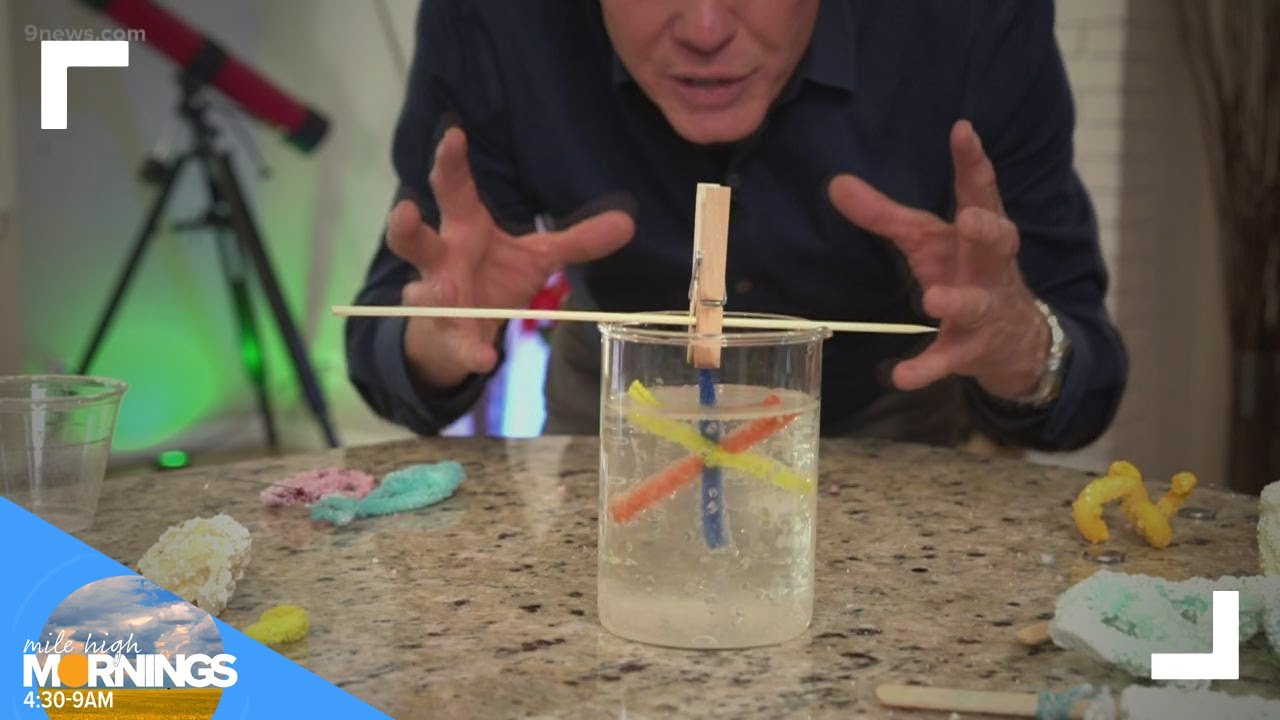 Science Minute: Make an ornament with crystals