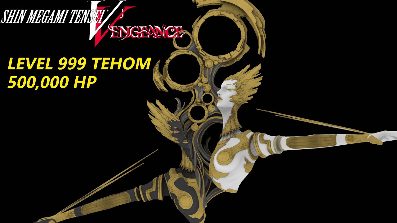 Level 999 Tehom and her 500,000 HP