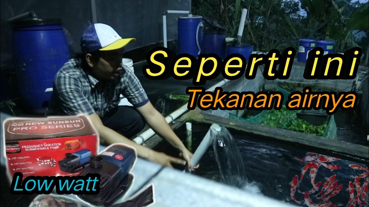 UJI POMPA KOLAM KOI MERK SUN SUN JTP 5800 PRO SERIES || POMPA LOW WATT SEMBURANNYA MANTAP