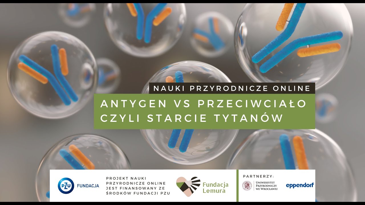 Antygen vs Przeciwciało - czyli starcie tytan&oacute;w