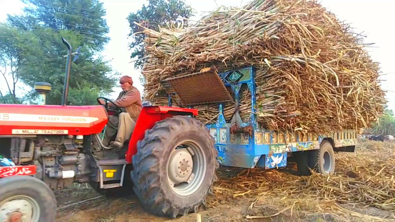 MF 385 real power