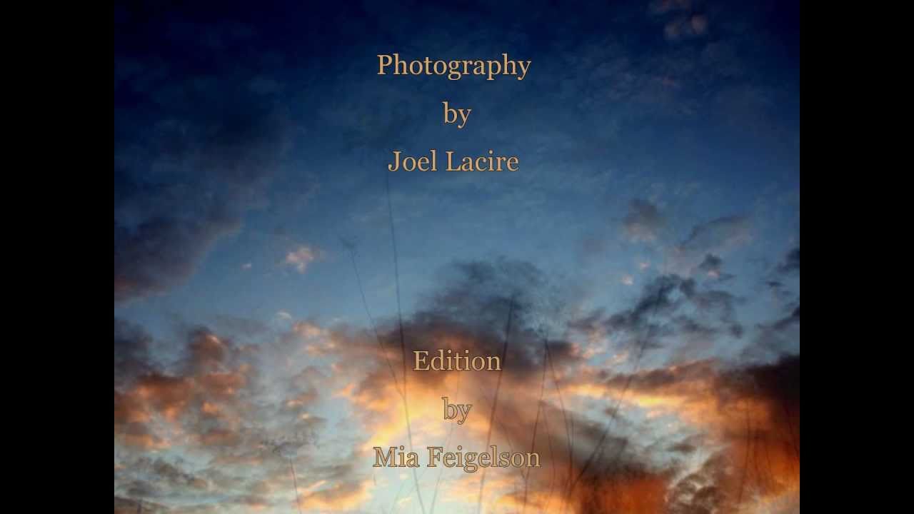 Martyn Bennett - Swallowtail; Photography by Joel Lacire; Edition by Mia Feigelson