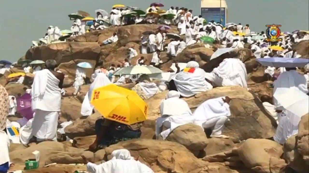 حج 2019 -  تقرير حول الحجاج التشاديين في جبل عرفات