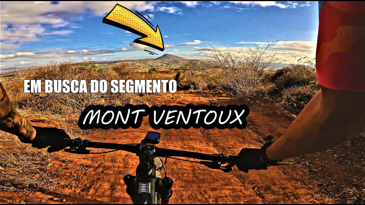 Dia de treino em subida com direito a carreira de cachorro no final