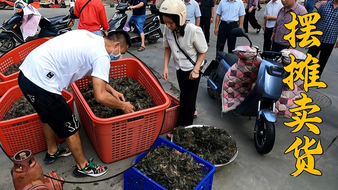 阿烽拉几百斤海货去闹市摆摊，本想赚2000块，现实太扎心了