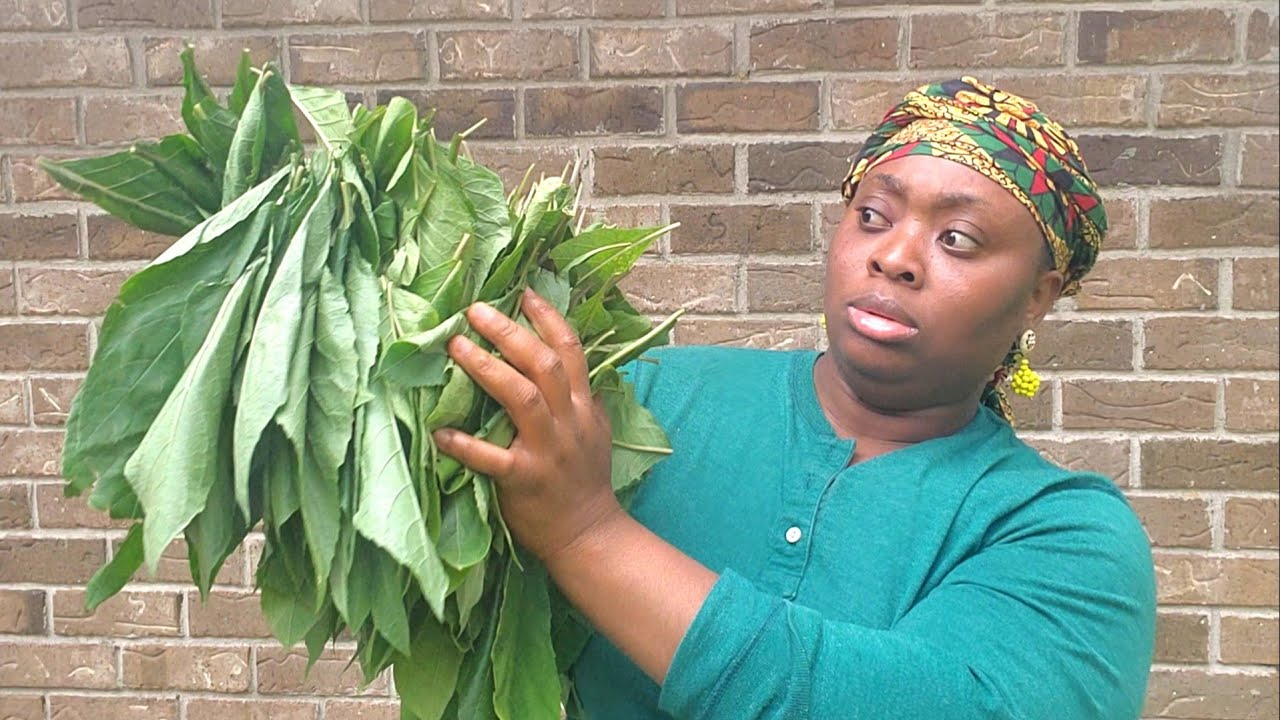 OMG!! I CAN'T BELIEVE IT'S COMING TO AN END// BITTERLEAF HARVEST 2022