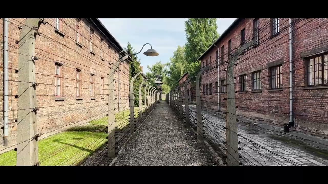BEARING WITNESS AT AUSCHWITZ/BIRKENAU