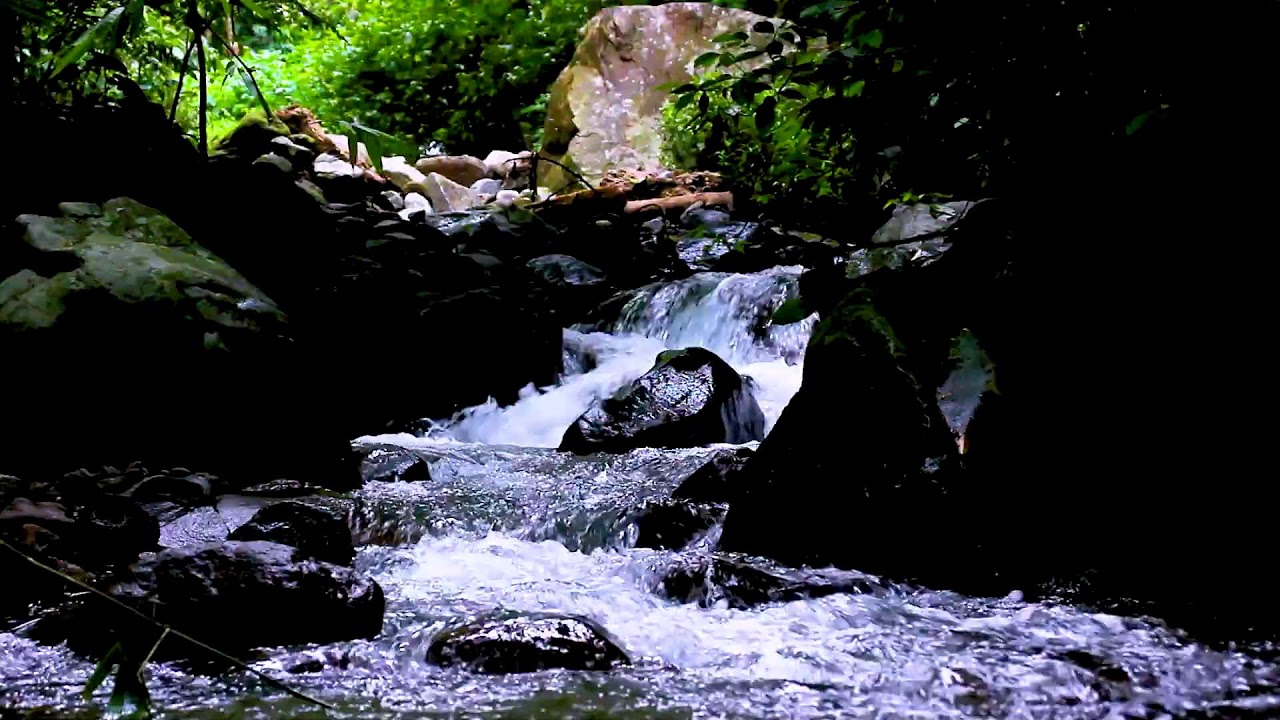 Calm the Mind with Mountain River Flowing Water Sounds, Natural White Noise