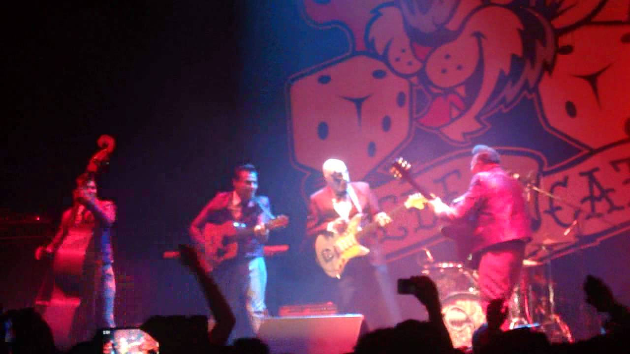 Rebel Cats y Danny Amis 