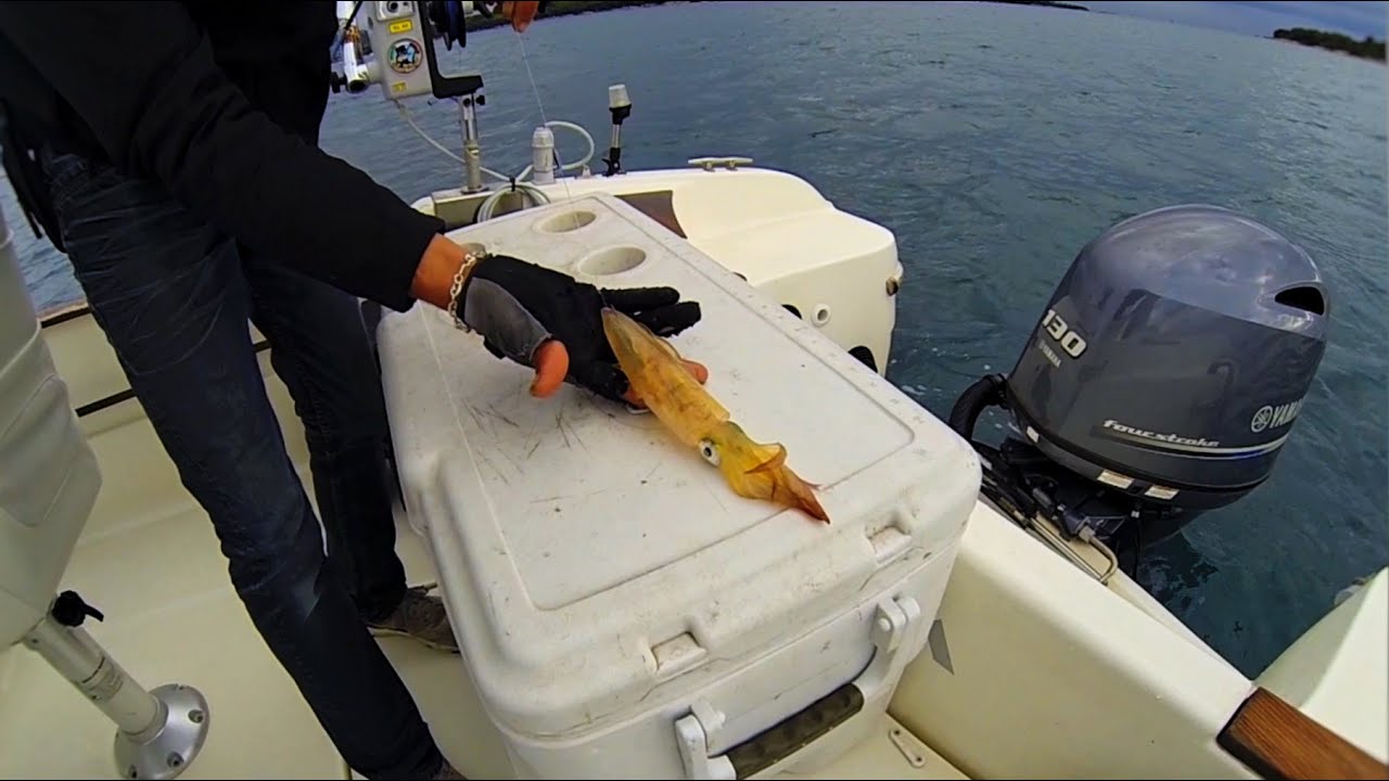 Montage Calamar pour pêche au Downrigger