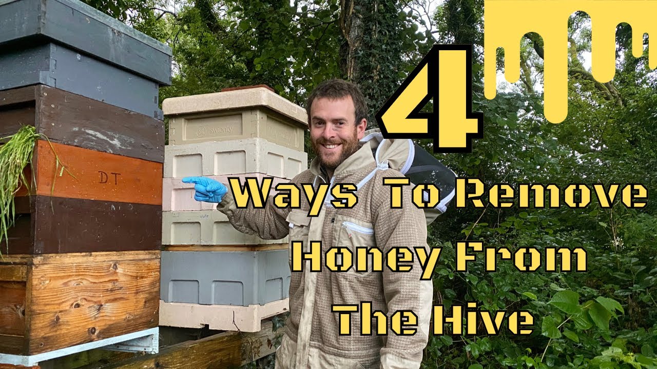 Different Ways Of Removing Honey Supers From The Hive.    Shaking, Brushing, Blowing, Clearer Boards