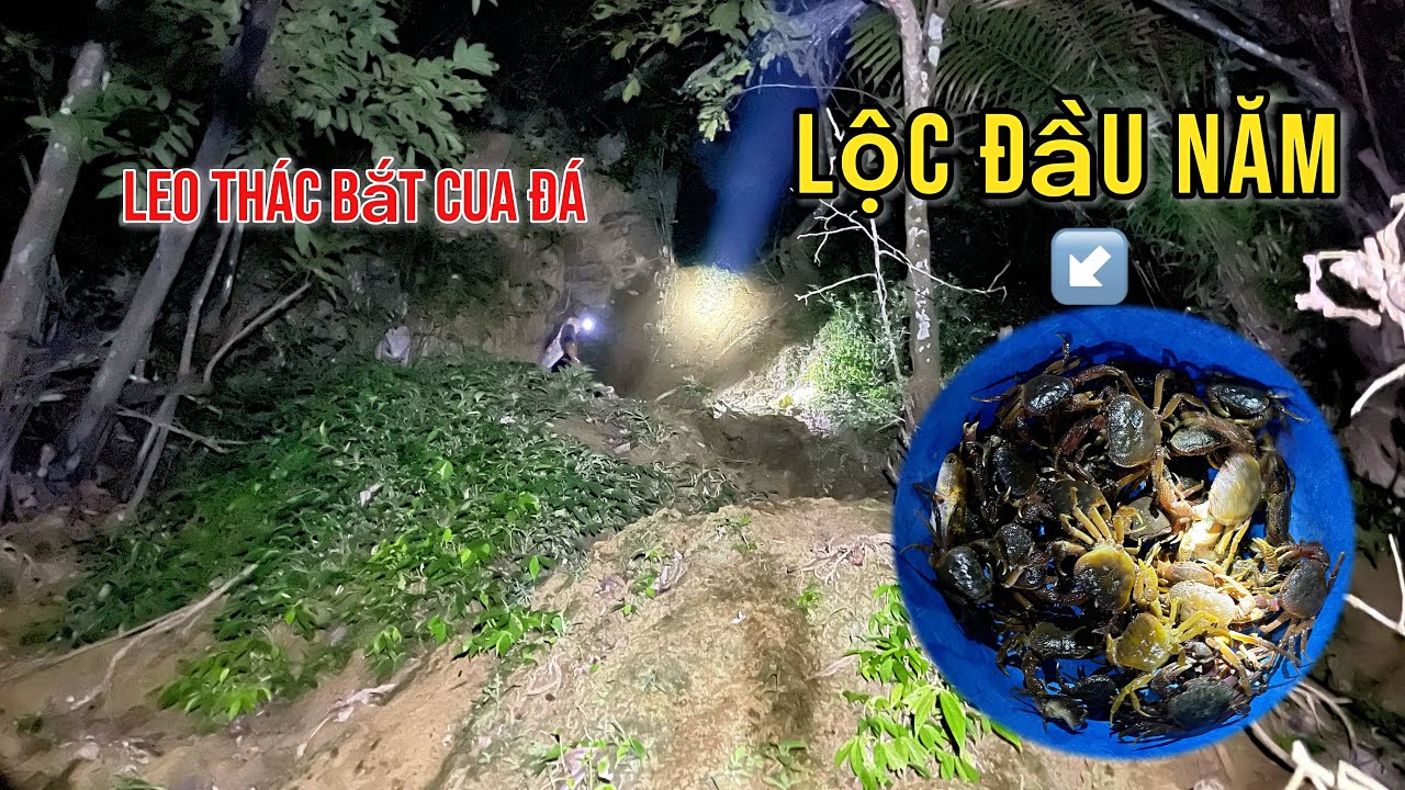 2 Anh Em Lạc Vào “Ổ Cua Đá” Ở Khe Suối Nhỏ Giữa Rừng