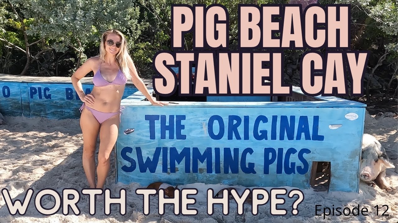 Pig Beach, Staniel Cay (Bahamas) and our very first visitors on our boat.