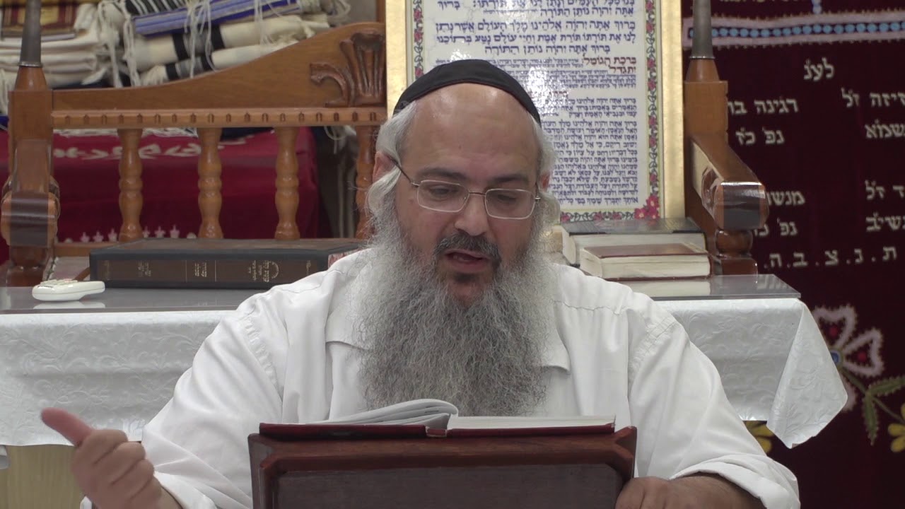 פנינים מפרשת נח - הרב שלמה לוינשטיין HD