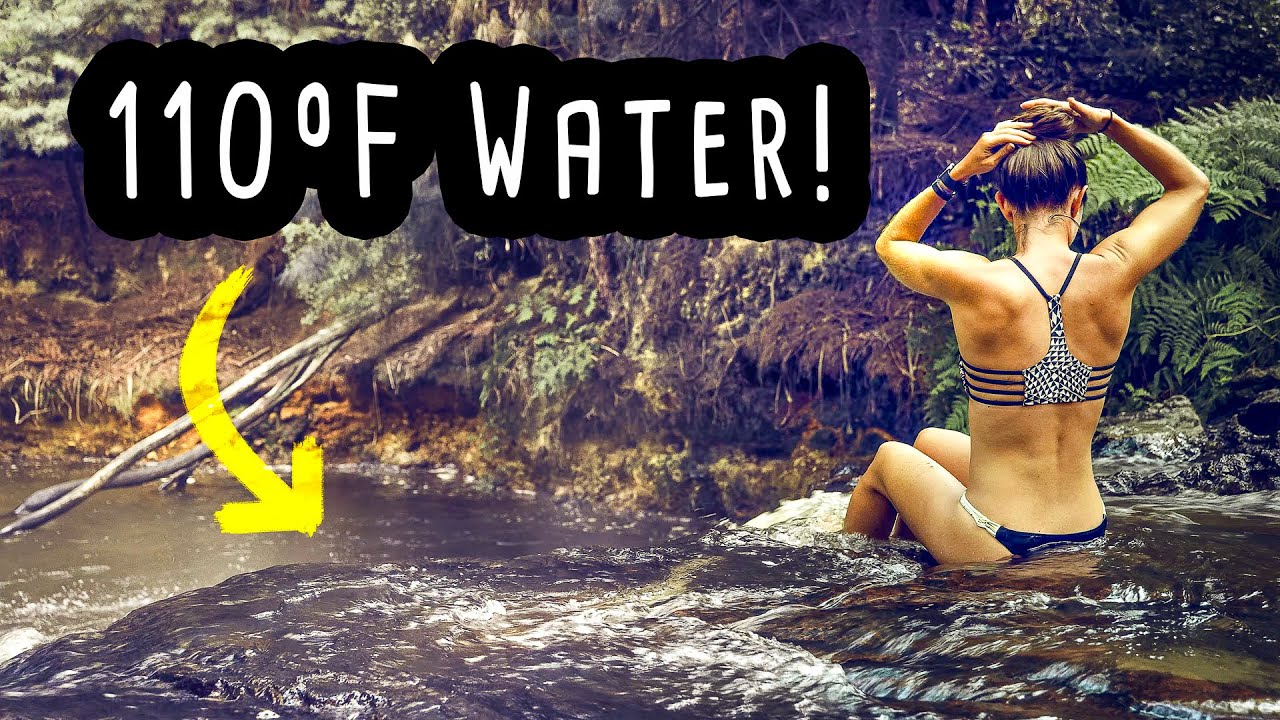 Waimangu Volcanic Valley + Free Alternatives (Hiking/Kerosene Creek/Hot and Cold)