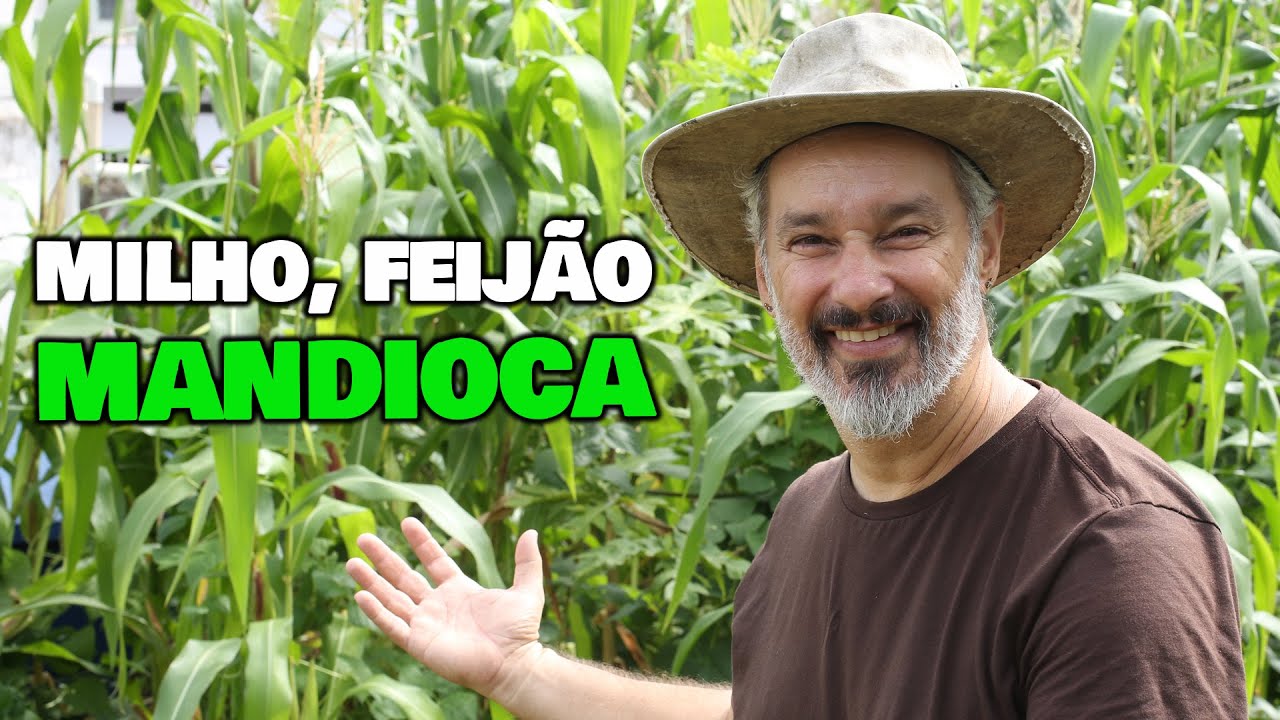 Plantando milho, feij&atilde;o e mandioca na horta (MILPA)