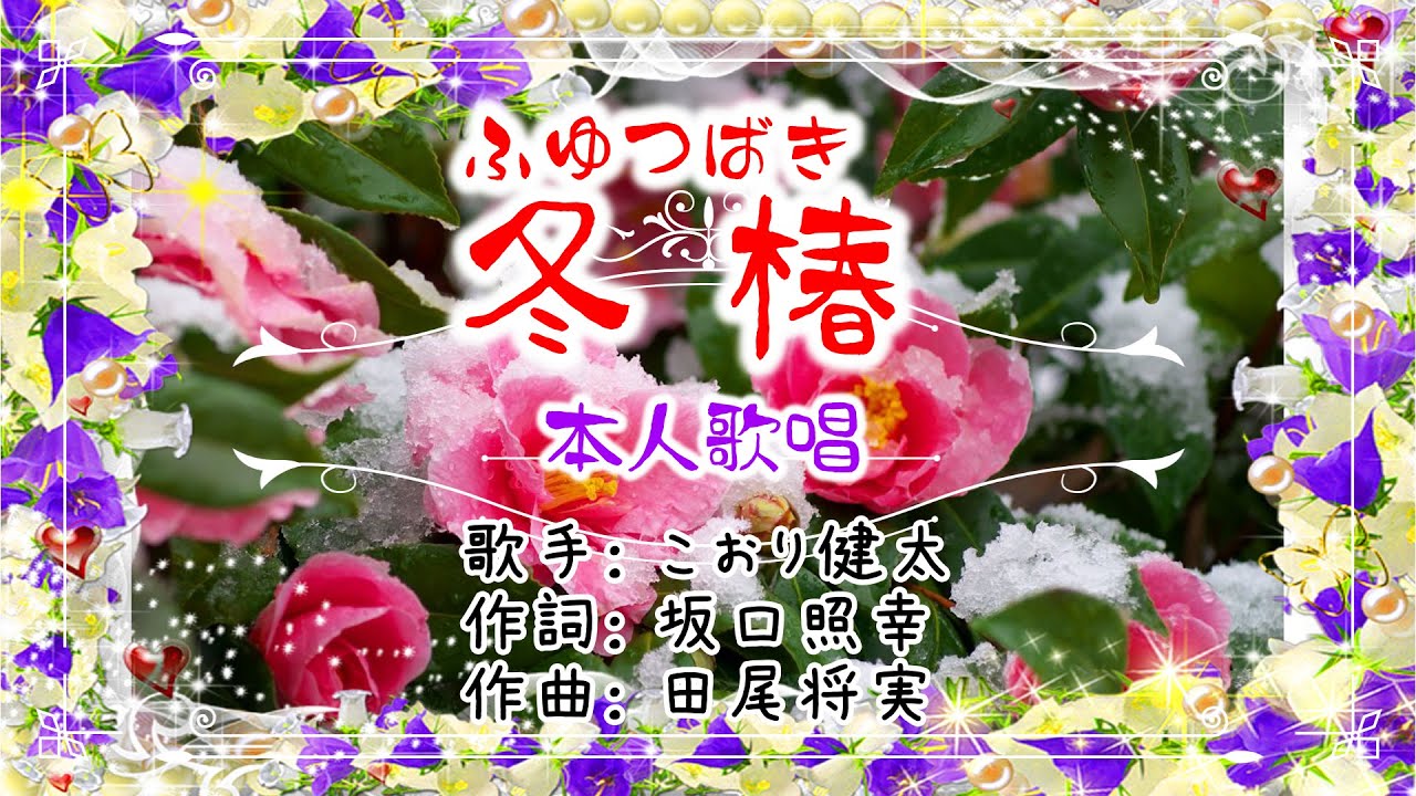 💛歌：こおり健太「冬椿」🎵（本人歌唱）