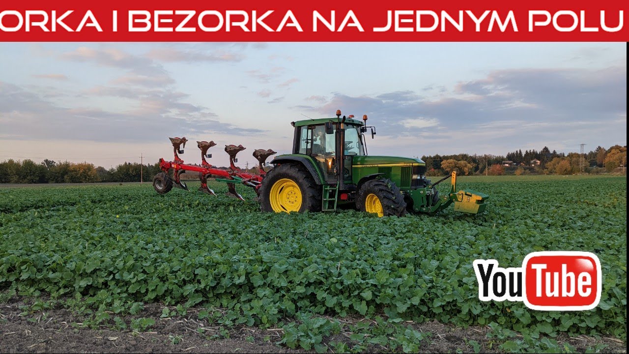 #558 Orka samosiewów - rzepak po kolana...