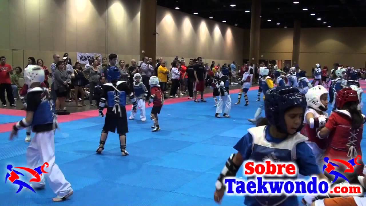 Taekwondo training. Sparring