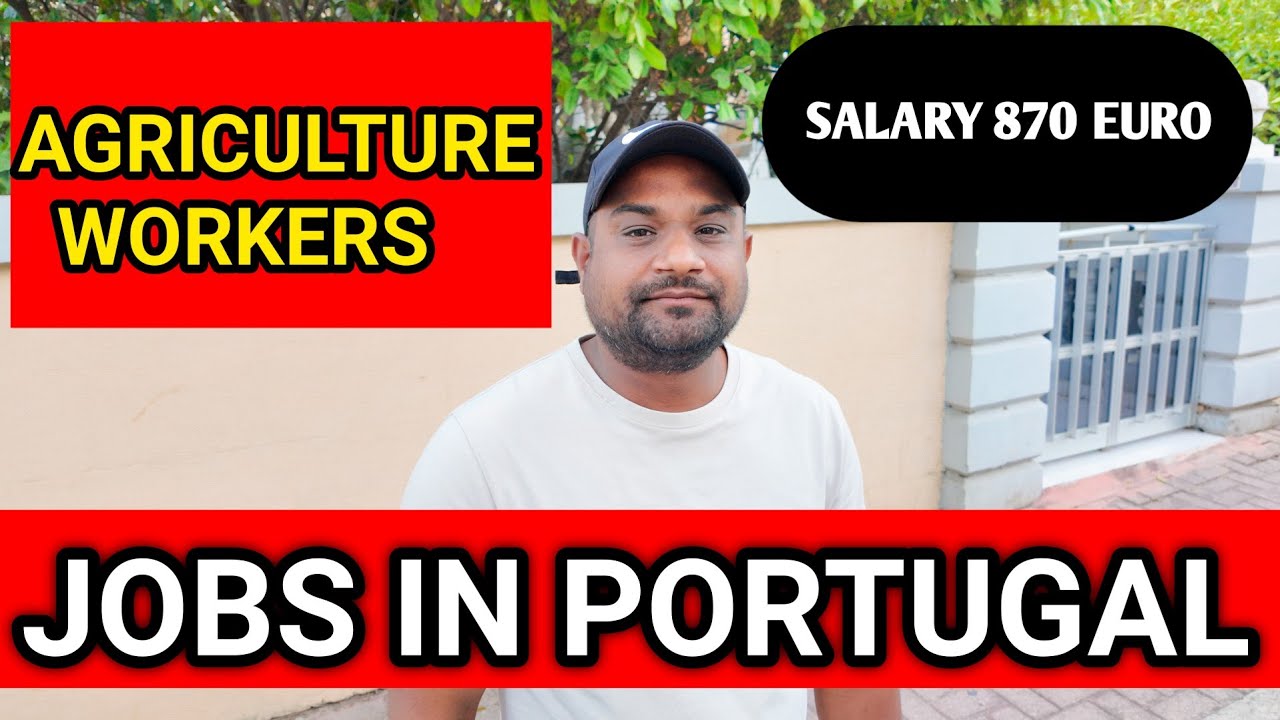 Portugal Agriculture Jobs 2025 | Olive Picking & Farm Work Salary in Portugal (&euro;860/month)