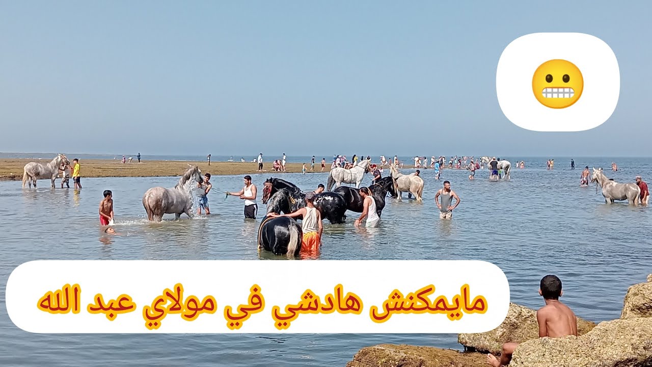 🚨 هادشي خطير😁أجواء الصباح في موسم مولاي عبد الله 😱 ماتوقعتش هادشي كامل 🔥🔥