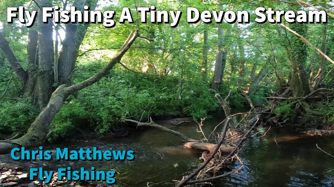 Fly Fishing a Tiny Devon Stream