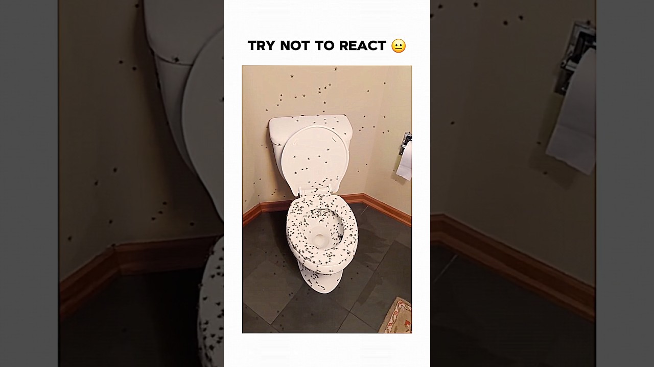 Try Not To React 😐