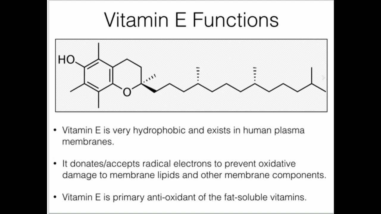 Vitamin E: Anti-oxidant Function