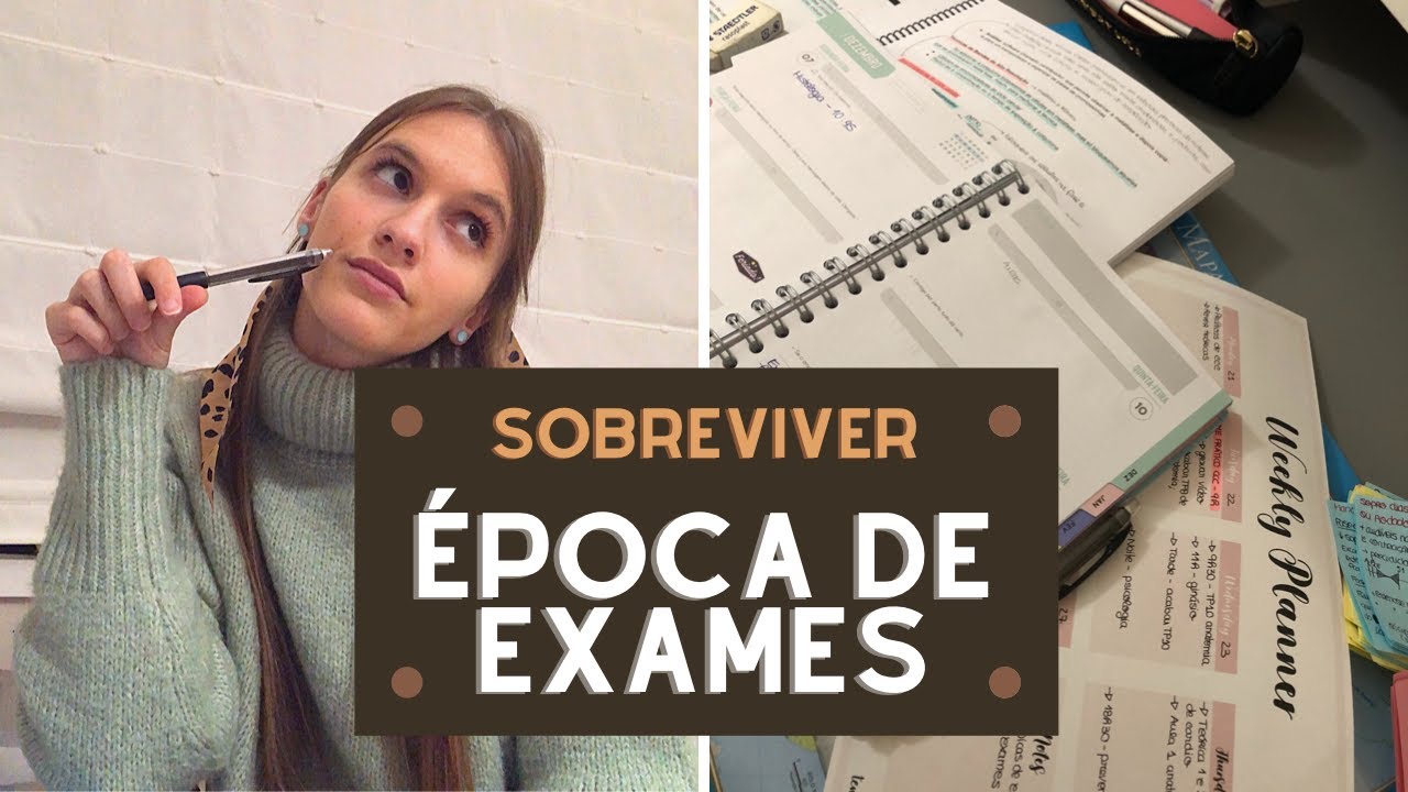 DICAS DE ESTUDO - época de exames || Catarina Brito