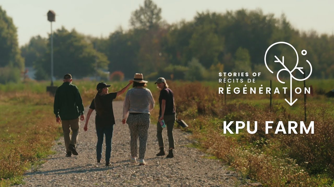 The ancient peat bog of KPU Farm - Stories of Regeneration