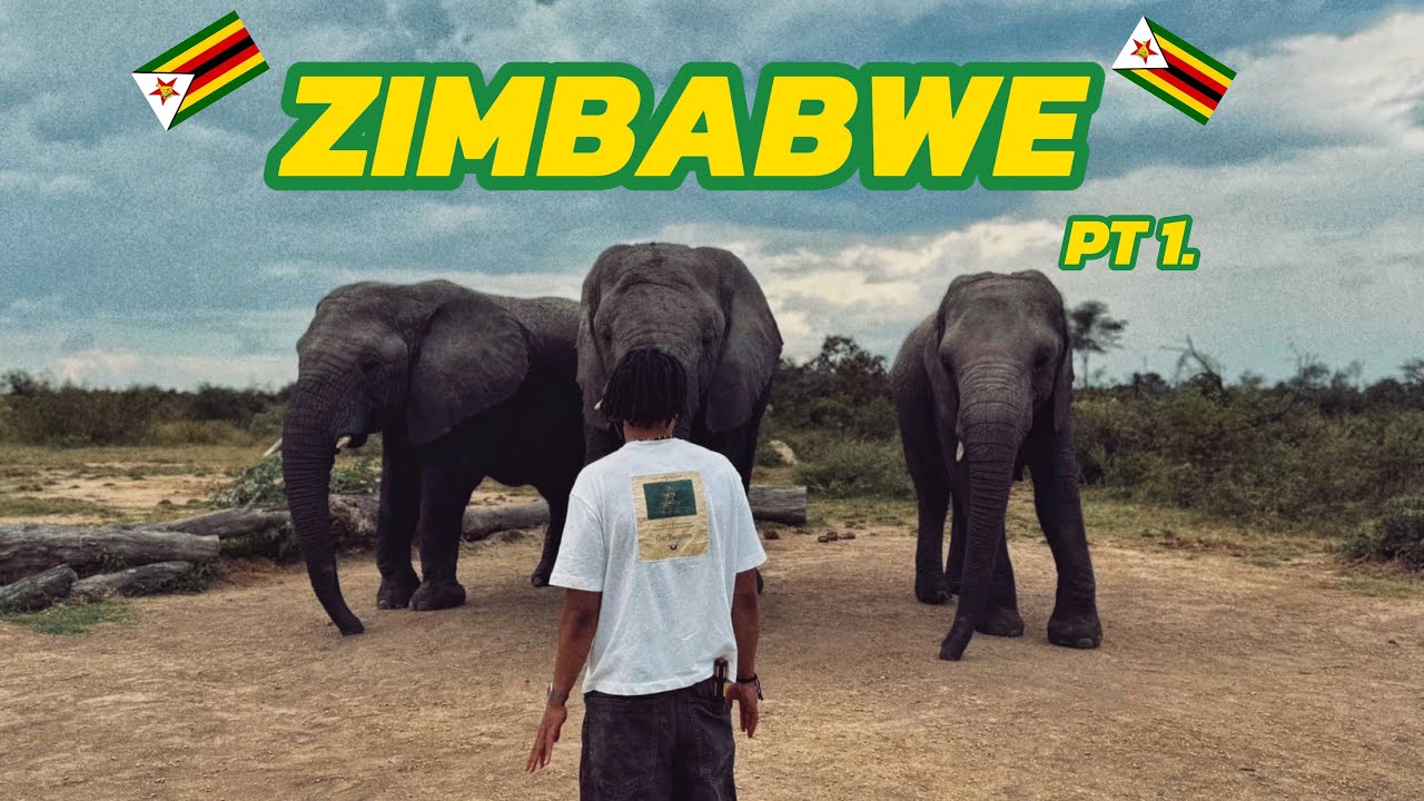 zimbabwe vlog part 1