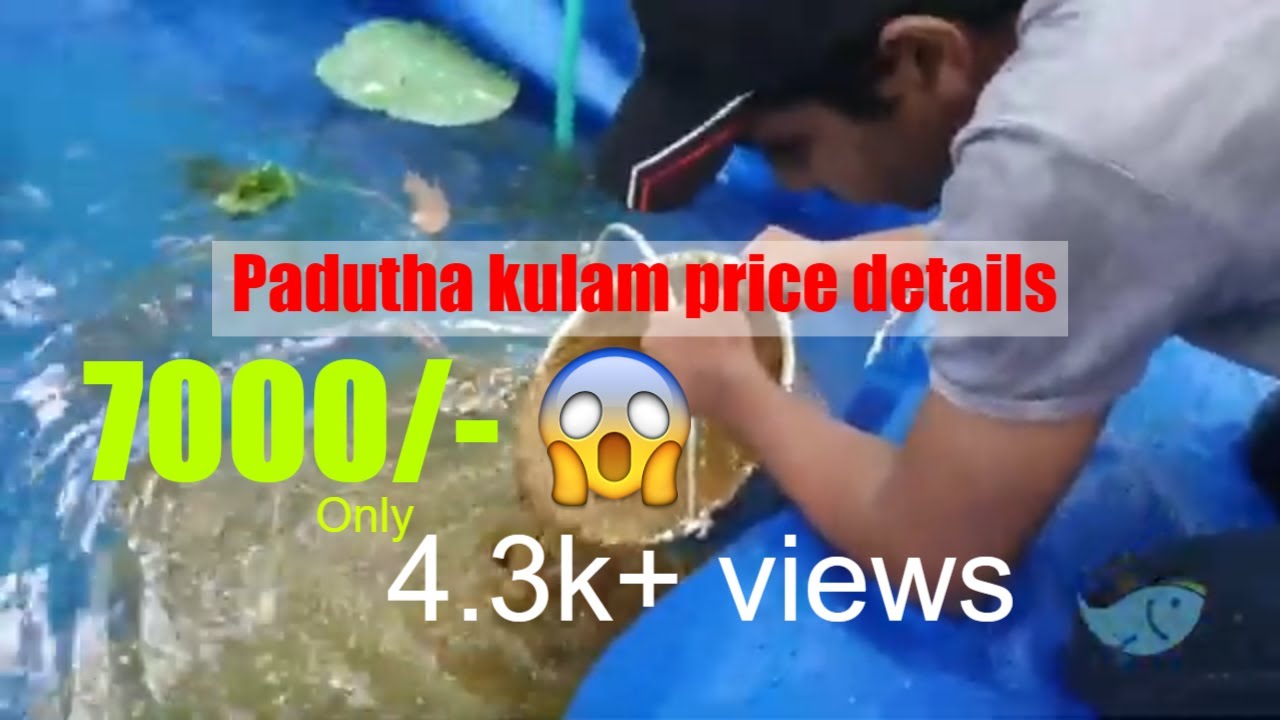 PART 1 | Padutha kulam price details and making video  
