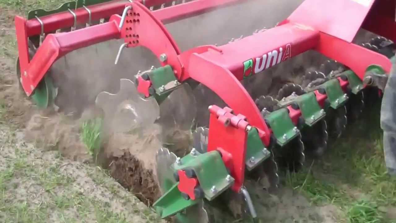 wiosna 2013 + nowy nabytak