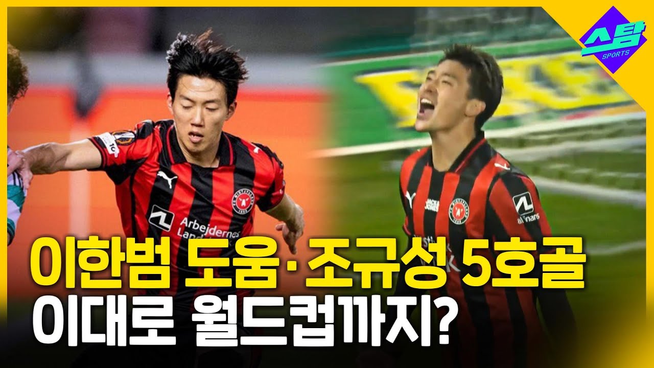 조규성 대포알 헤더골! 이대로 월드컵까지?