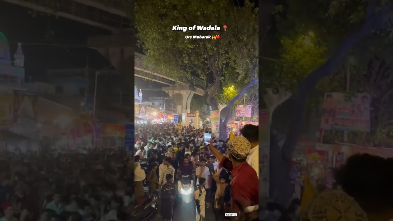 786 urs Mubarak hazrat Shaikh misri sarkar #misri #antophill #khawajajistatus   #wadala37 #400037