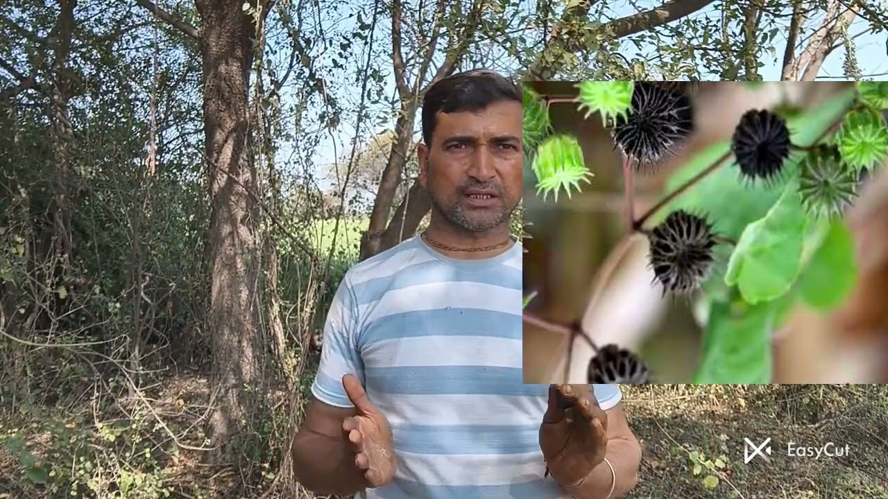 गांव के वैध गुम होते जा रहे उन्हें बनाए रखें 