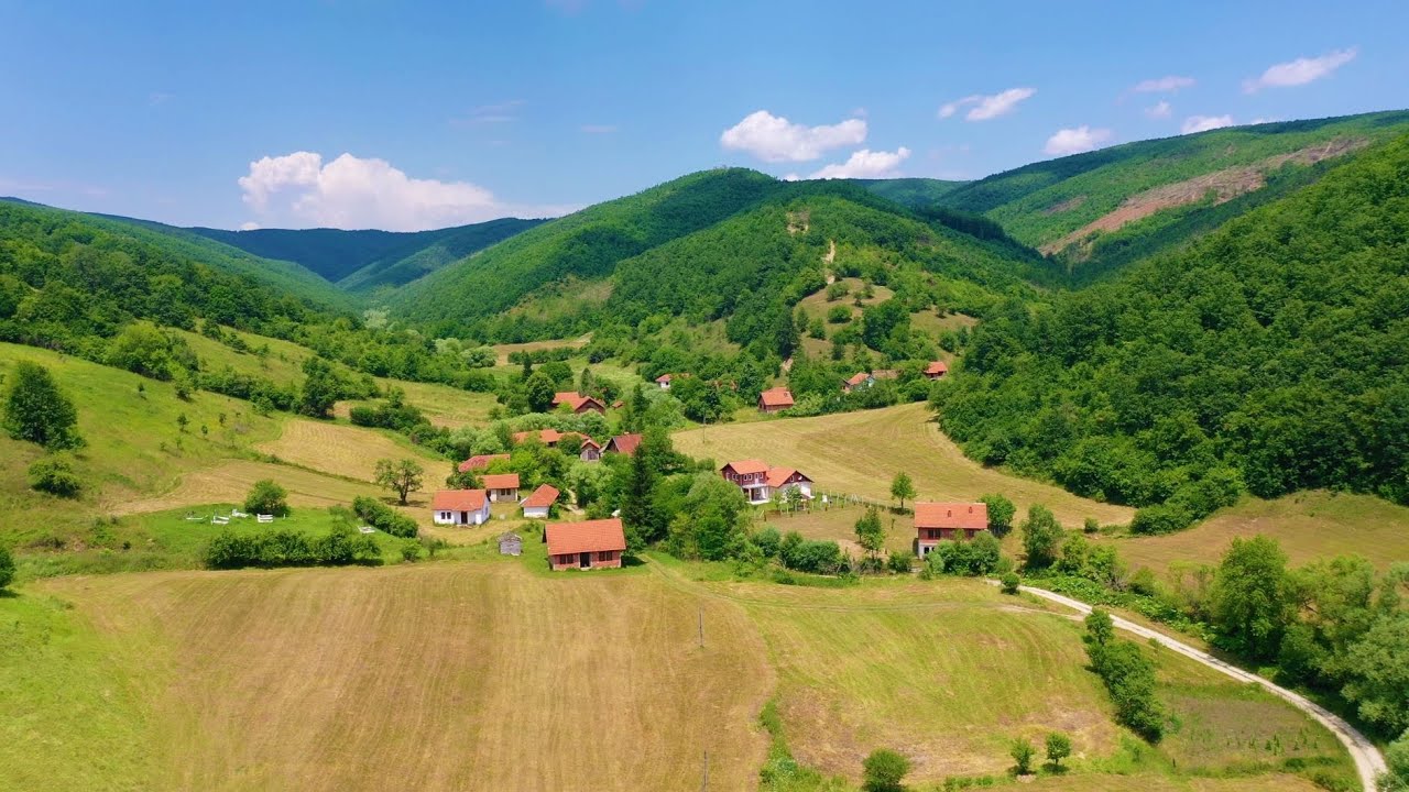 Radisheva