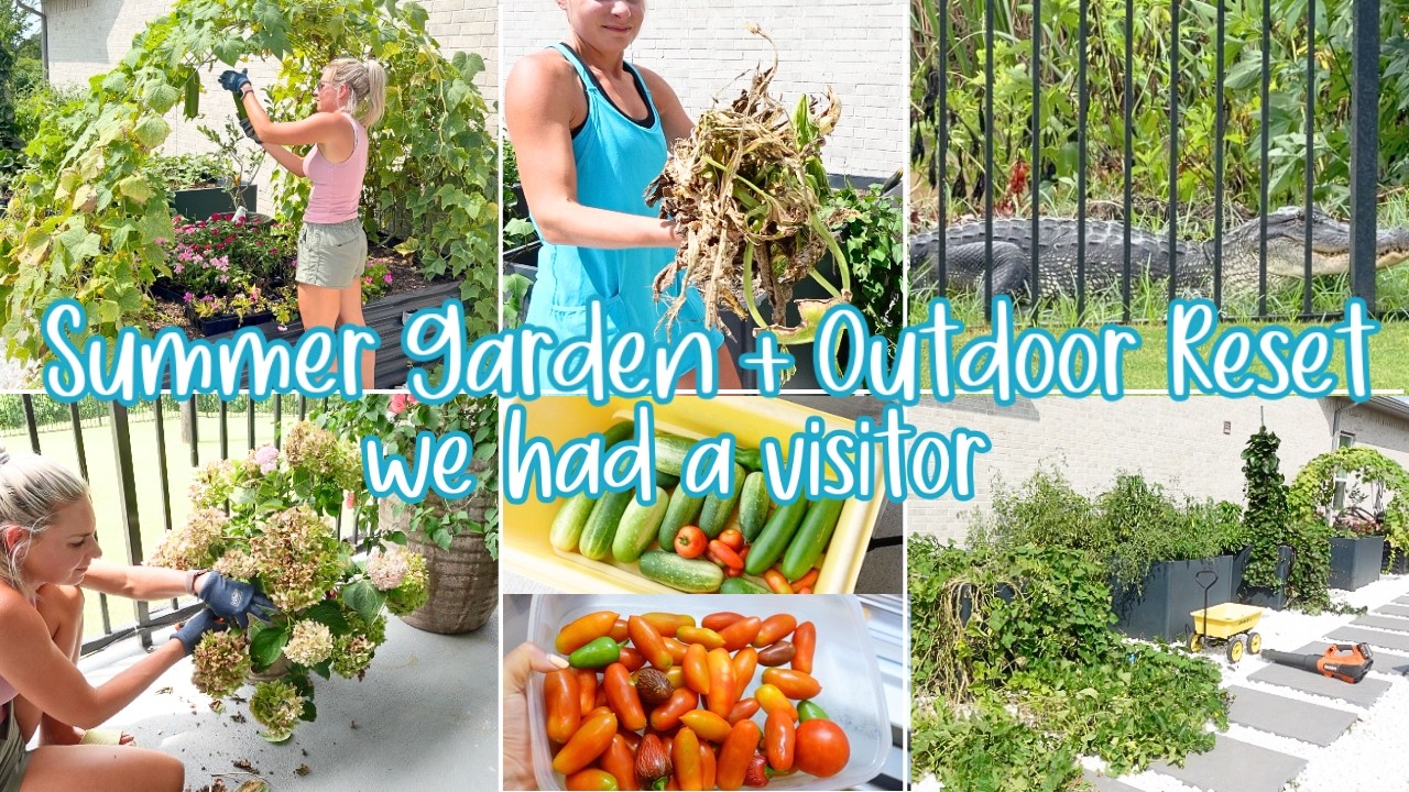 We Had a Visitor 😳 &hellip; Summer Garden Harvest + Outdoor Reset / Replanting After the Bugs Won