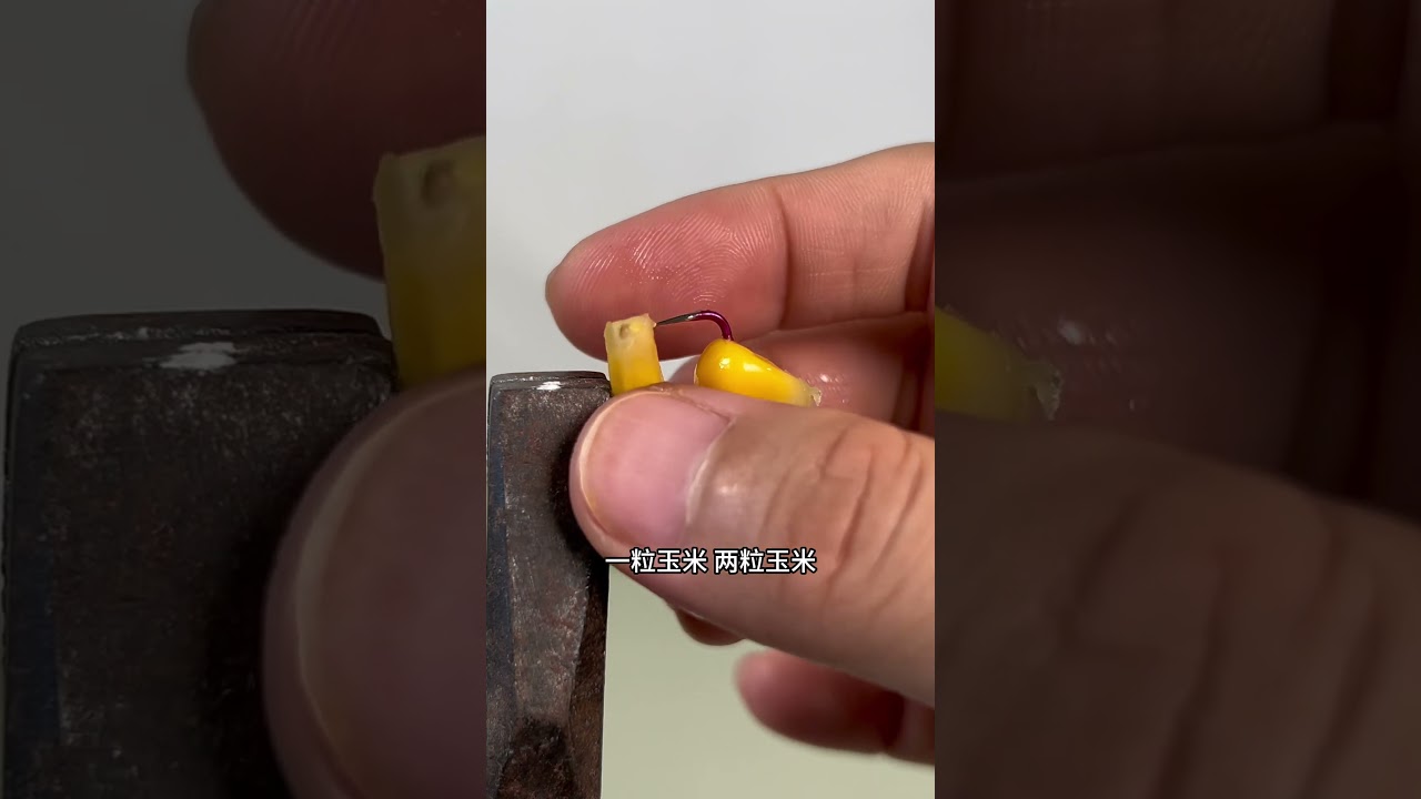 鱼饵挂的好，大鱼跑不了 #妙招分享 #钓鱼技巧 #教你一招