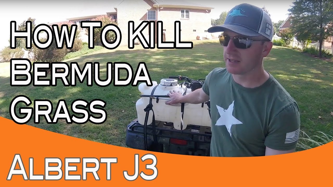 Killing Bermuda Grass With 1 Application