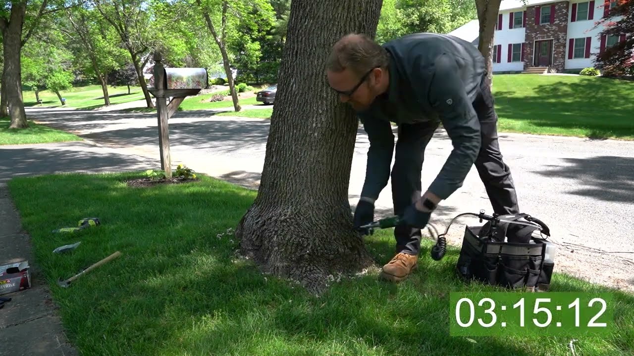 Tree Injection Process using Arborplugs