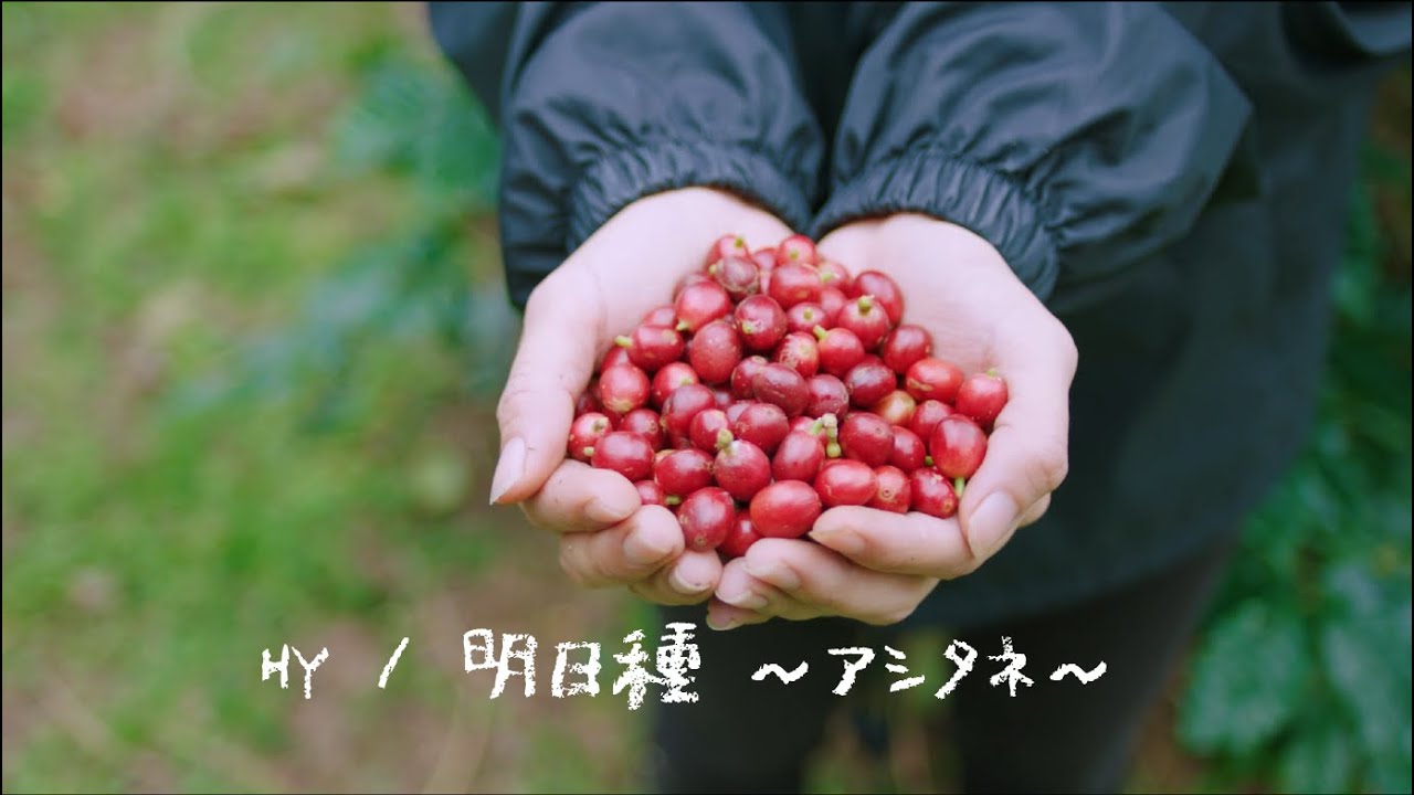 HY - 「明日種～アシタネ～」Music Video