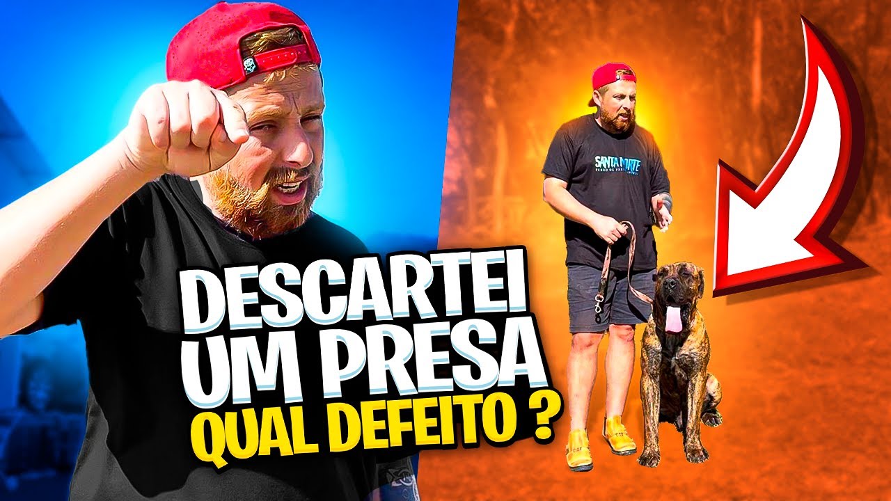 ESTOU DOANDO UM PRESA CANARIO