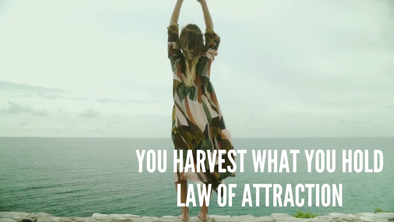 You harvest what you hold – Law of attraction