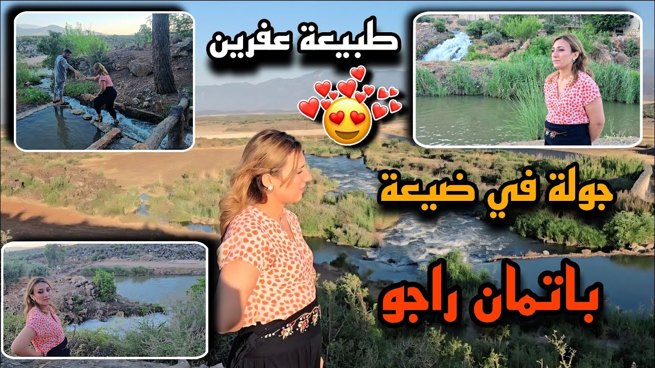 جولة في ضيعة بطمان راجو في الصباح/ طبيعة عفرين مع حدود تركيا 🥰